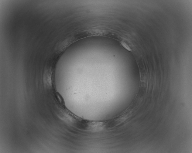 X0000073900334200608251504