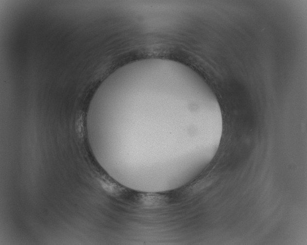 X0000073900336200608251504