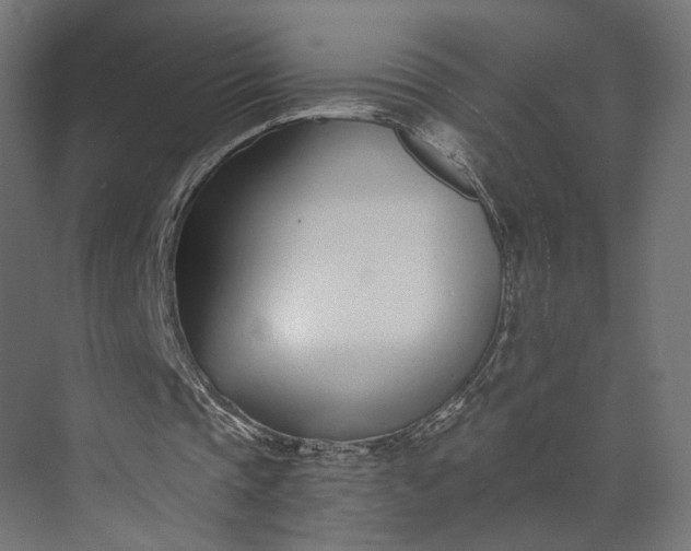 X0000073900337200608251503