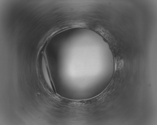 X0000073900339200608251503