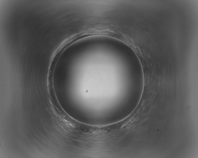 X0000073900340200608251503