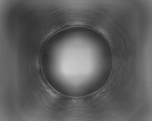 X0000073900345200608251503