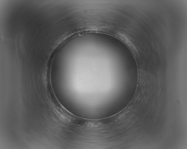 X0000073900346200608251503