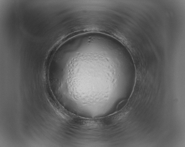 X0000073900347200608251503