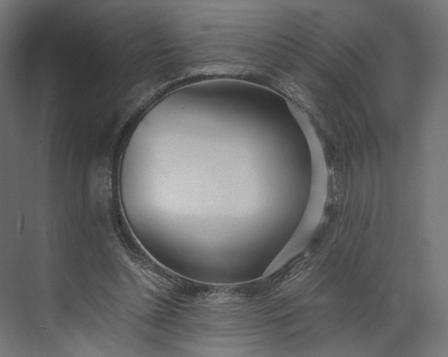 X0000073900348200608251503