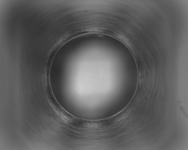 X0000073900349200608251503