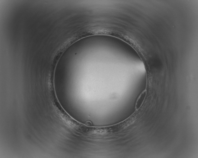 X0000073900353200608251503