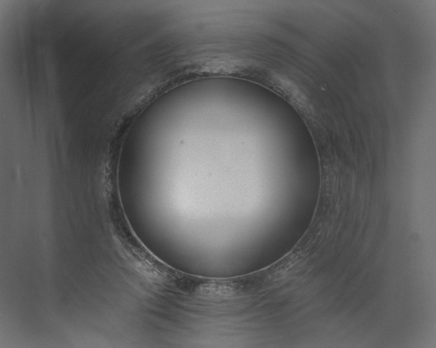 X0000073900354200608251503