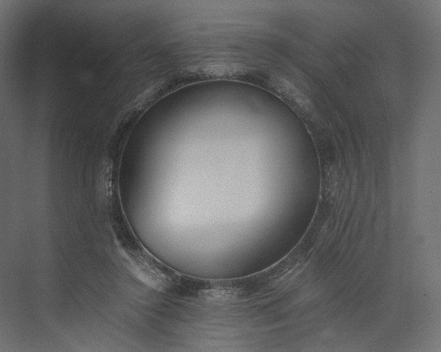 X0000073900356200608251503