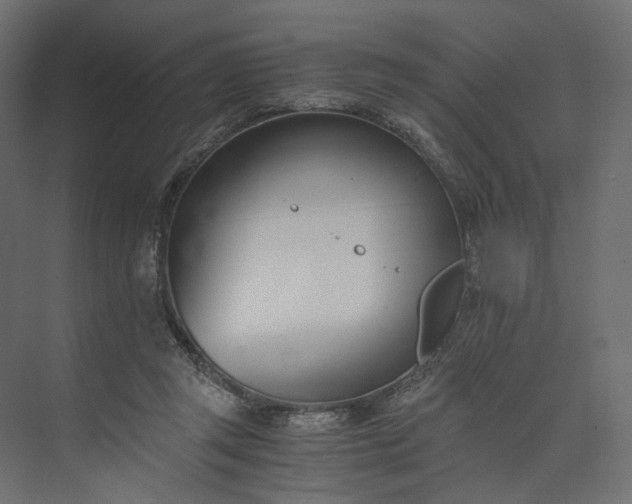 X0000073900357200608251503