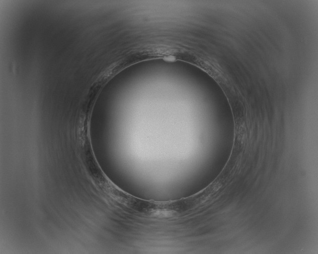 X0000073900360200608251503