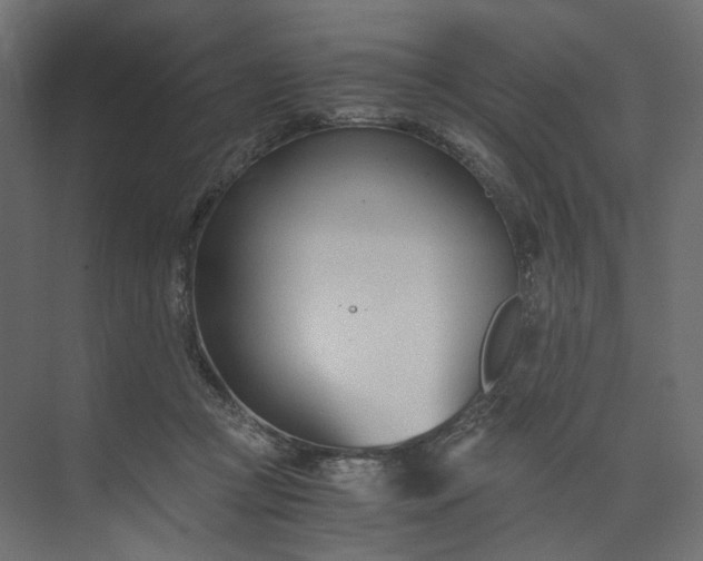 X0000073900361200608251503