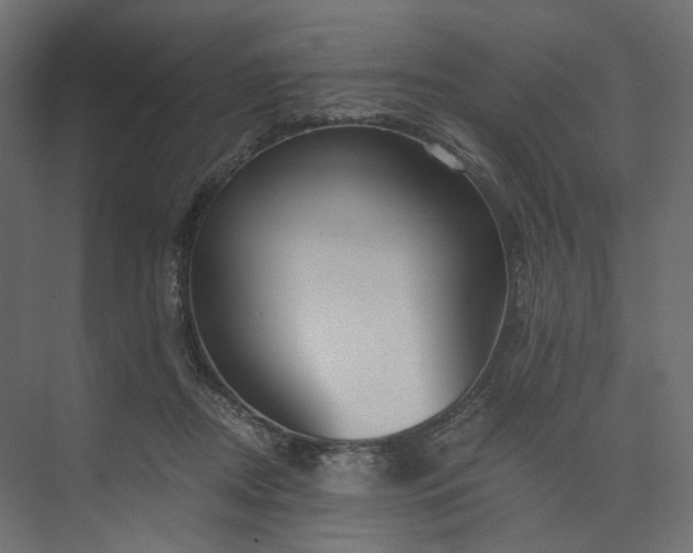 X0000073900362200608251503