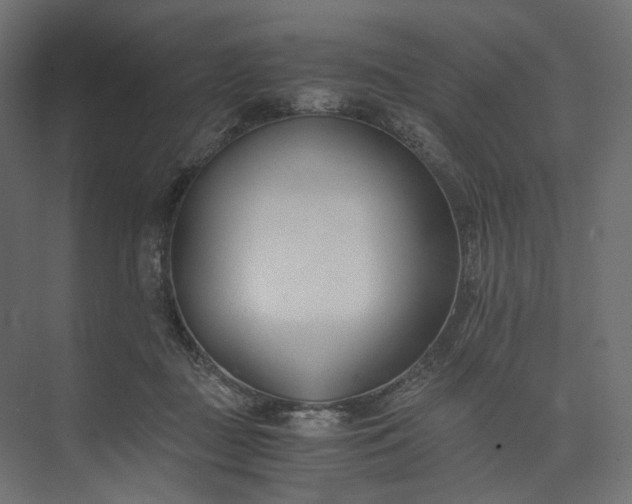 X0000073900363200608251503