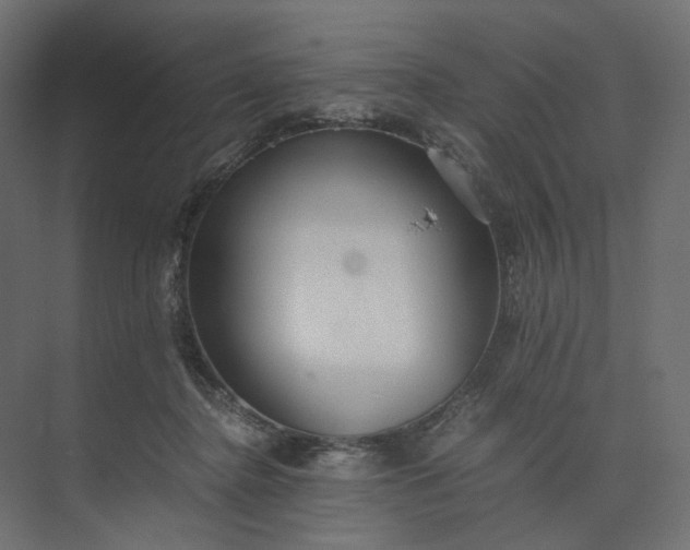 X0000073900364200608251503