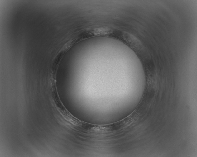 X0000073900367200608251503