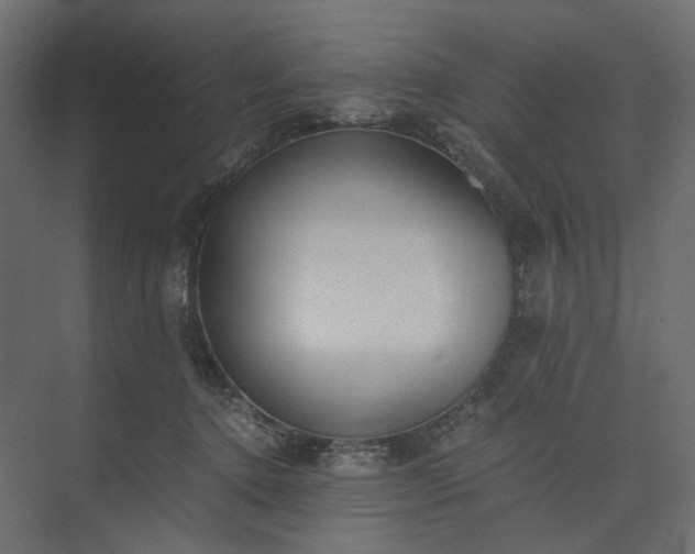 X0000073900368200608251503