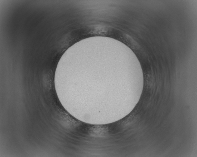 X0000073900370200608251503