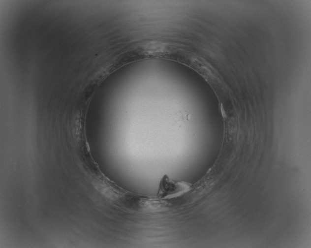 X0000073900372200608251503