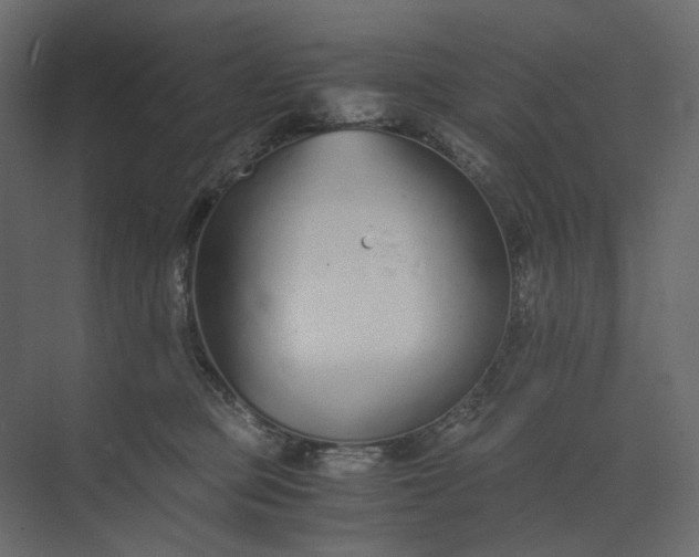 X0000073900373200608251503