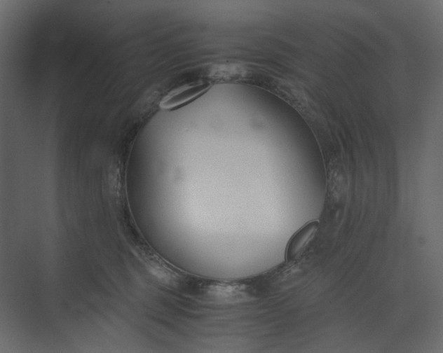 X0000073900375200608251503