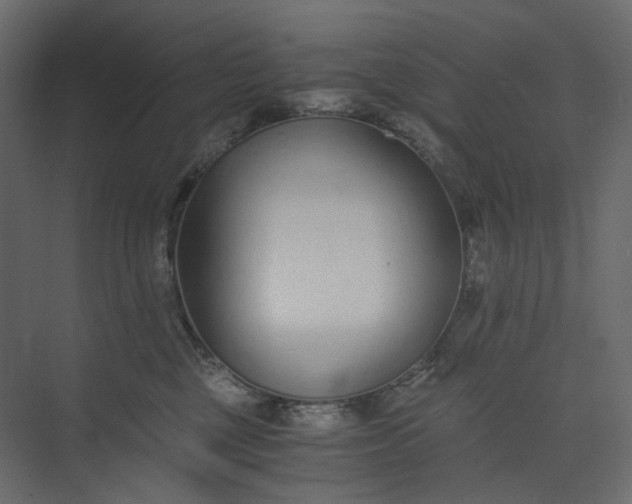 X0000073900377200608251503