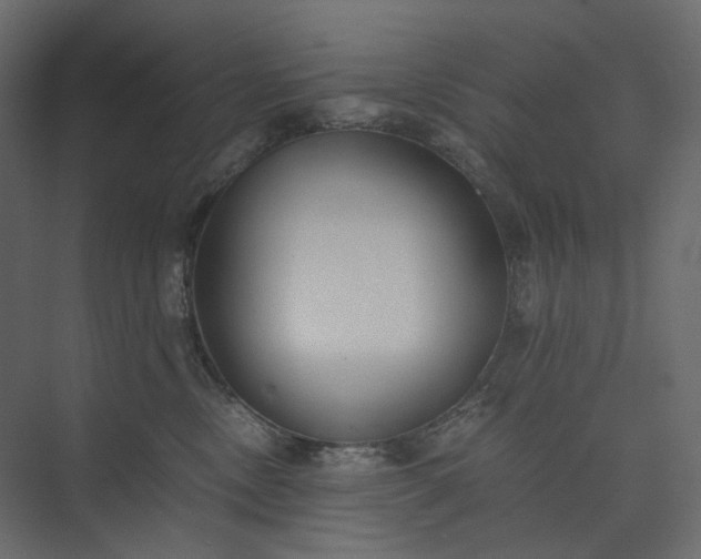 X0000073900378200608251503