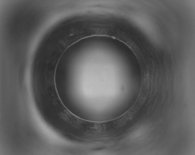 X0000073900383200608251504