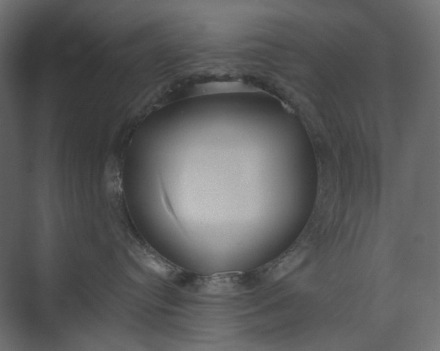 X0000073900384200608251504