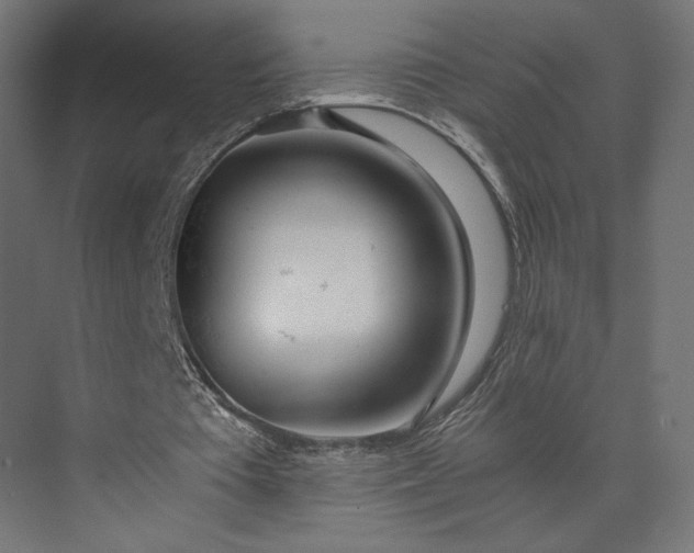 X0000073900385200608251503