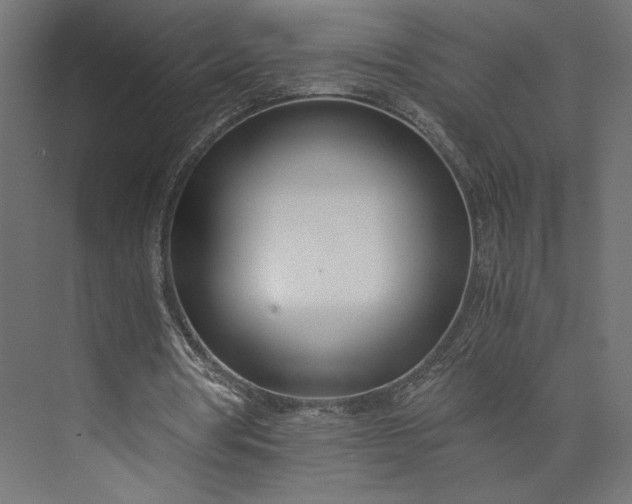 X0000073900386200608251503