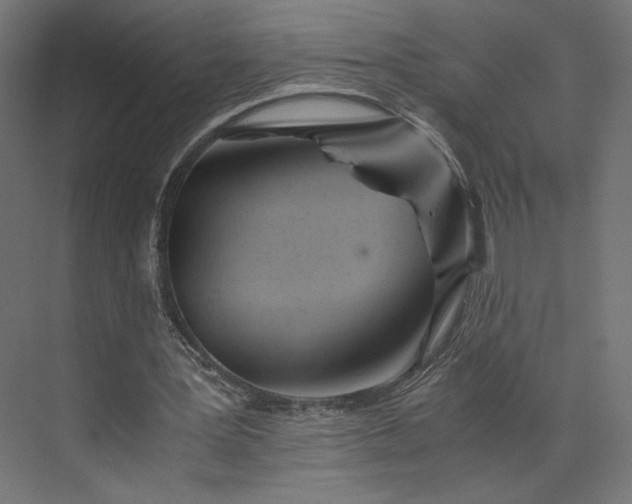 X0000073900387200608251503