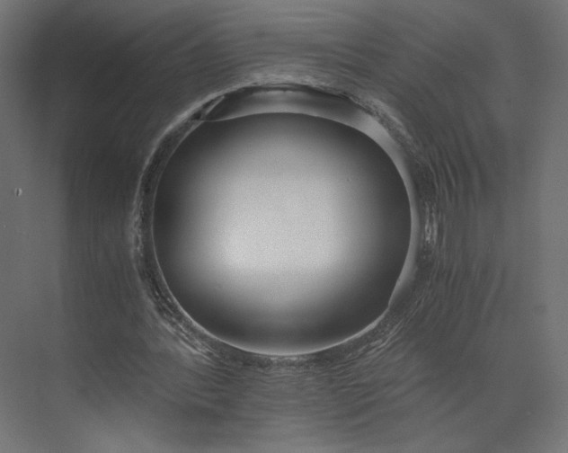 X0000073900388200608251503