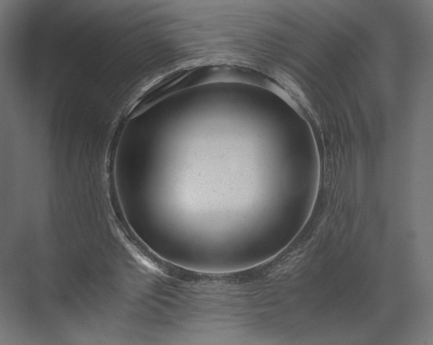 X0000073900389200608251503