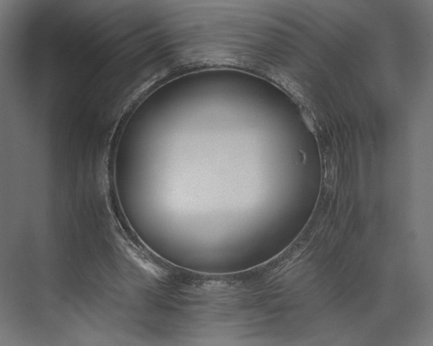 X0000073900390200608251503