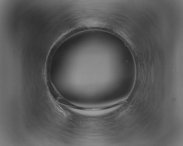 X0000073900391200608251503