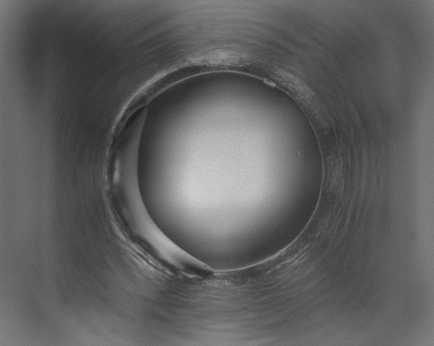 X0000073900392200608251503