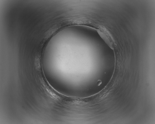 X0000073900393200608251503