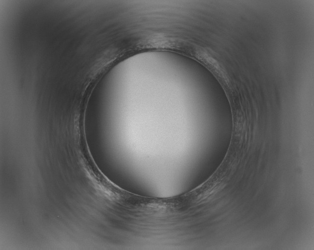 X0000073900394200608251503