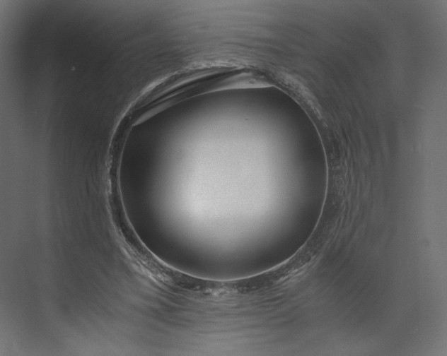 X0000073900395200608251503