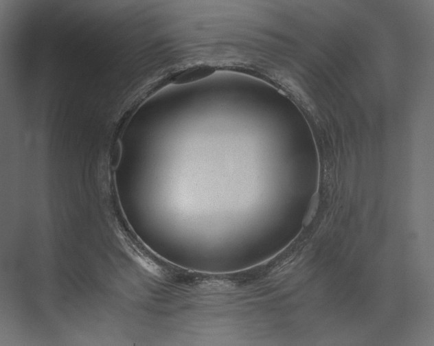 X0000073900397200608251503