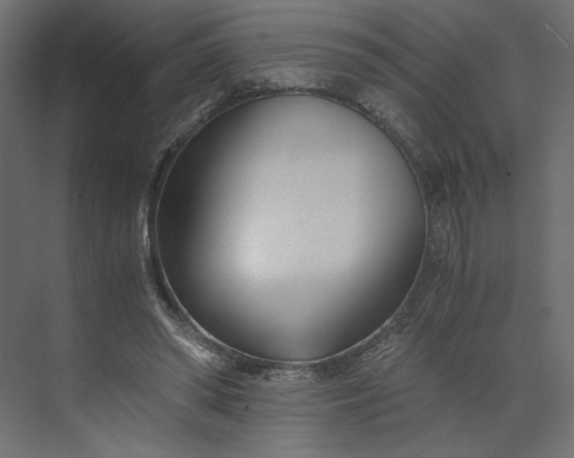 X0000073900398200608251503