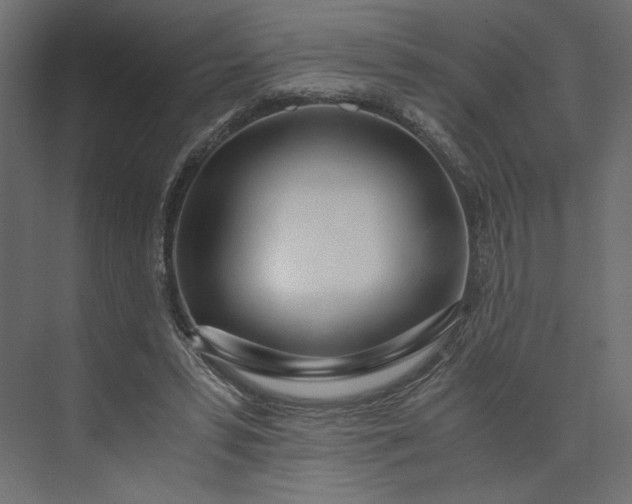 X0000073900399200608251502