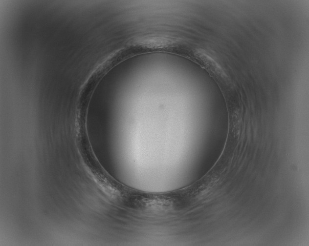 X0000073900400200608251502