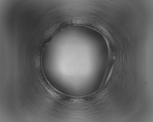 X0000073900401200608251502