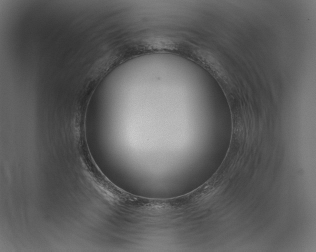 X0000073900402200608251502