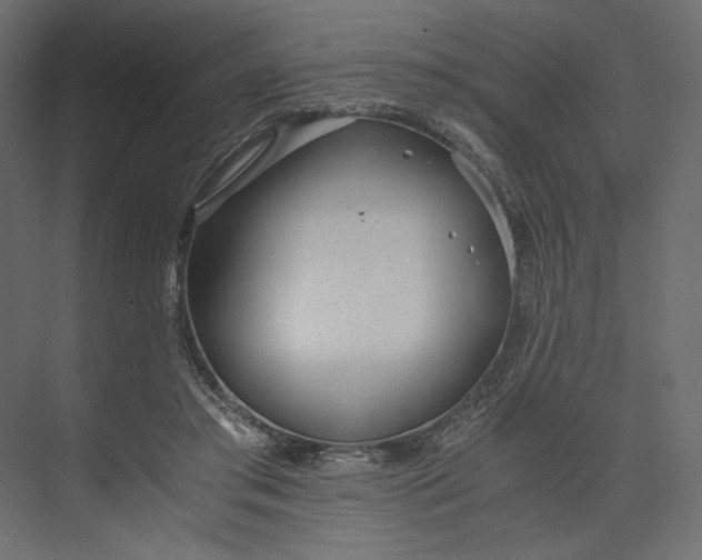 X0000073900405200608251502