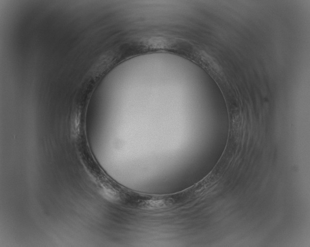 X0000073900406200608251502