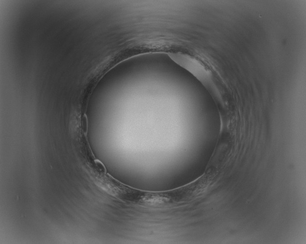 X0000073900407200608251502