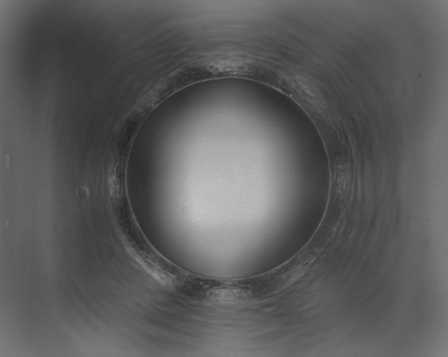 X0000073900408200608251502